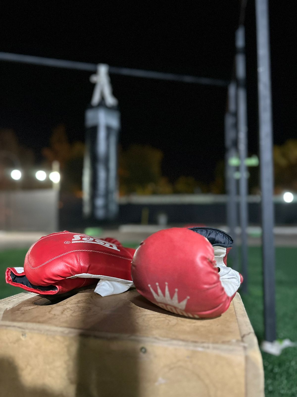 imagen-boxeo